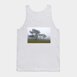 Ancient trees shrouded in fog Tank Top